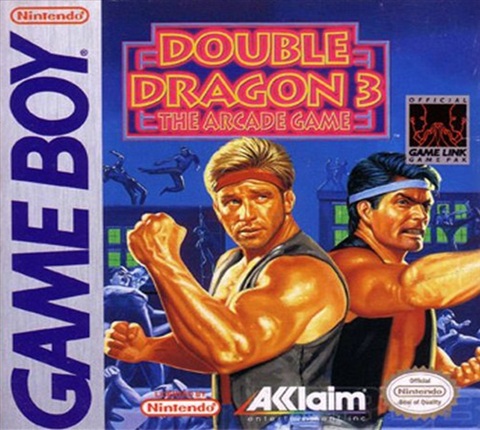 Double Dragon 3: The Arcade Game, Perfecto