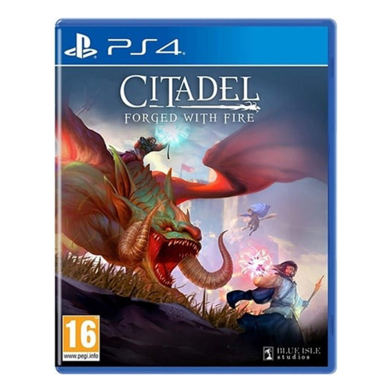 Citadel: Forged With Fire